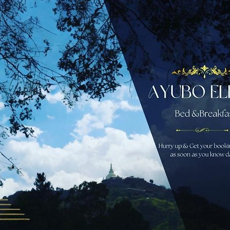 Ayubo Ella - Bed & Breakfast Ngoại thất bức ảnh