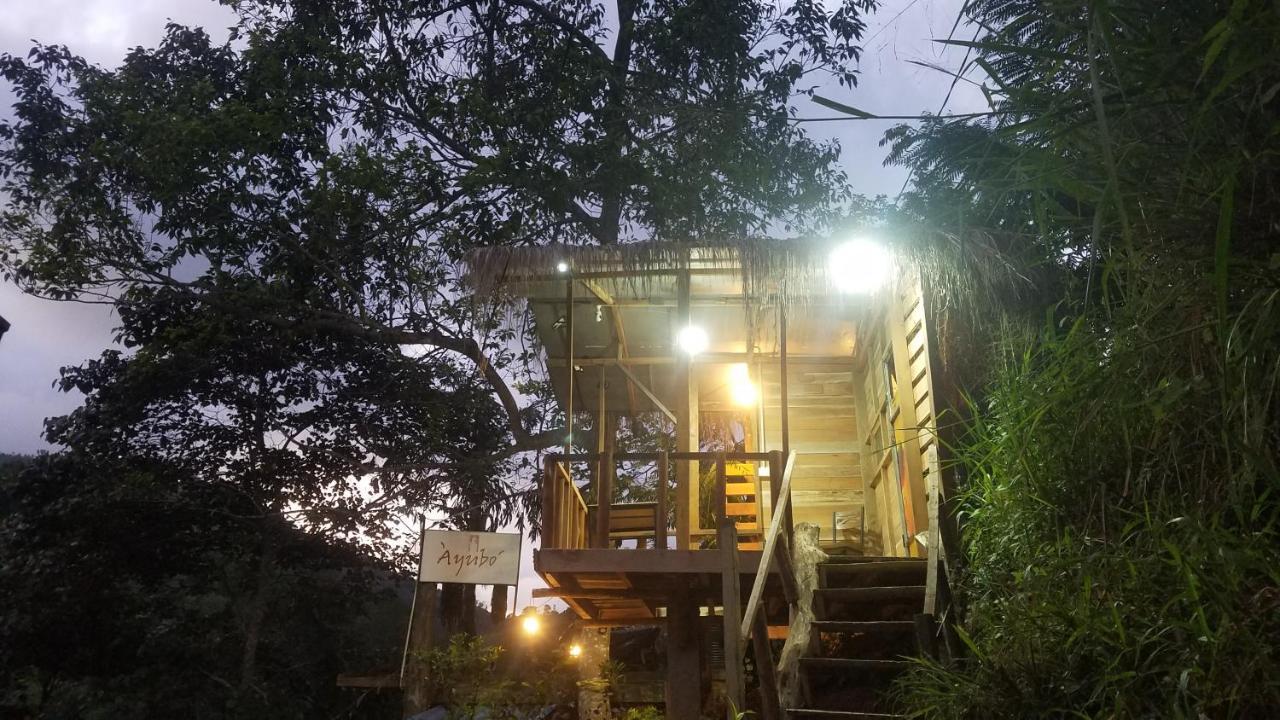 Ayubo Ella - Bed & Breakfast Ngoại thất bức ảnh