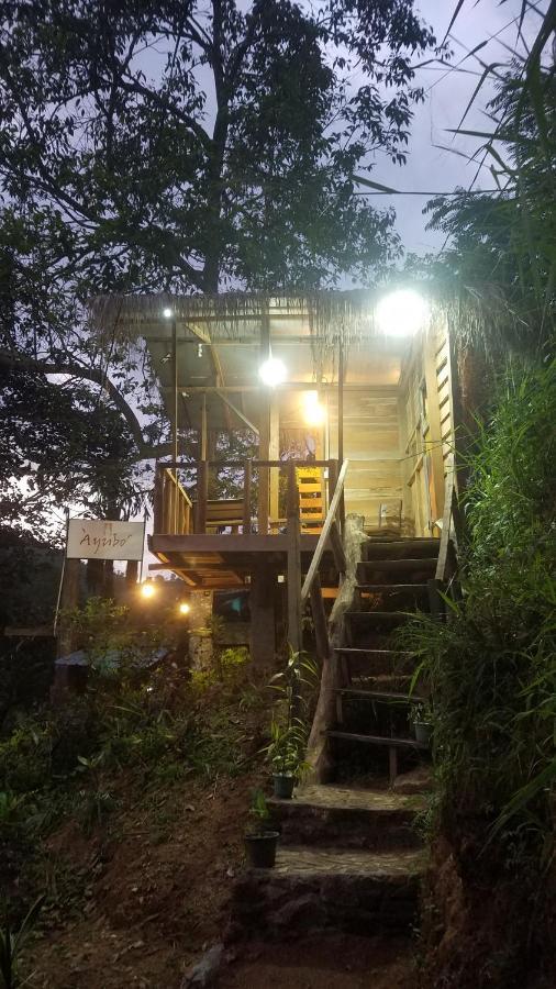 Ayubo Ella - Bed & Breakfast Ngoại thất bức ảnh