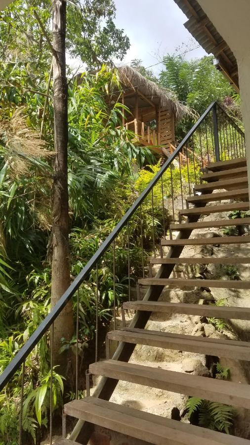 Ayubo Ella - Bed & Breakfast Ngoại thất bức ảnh